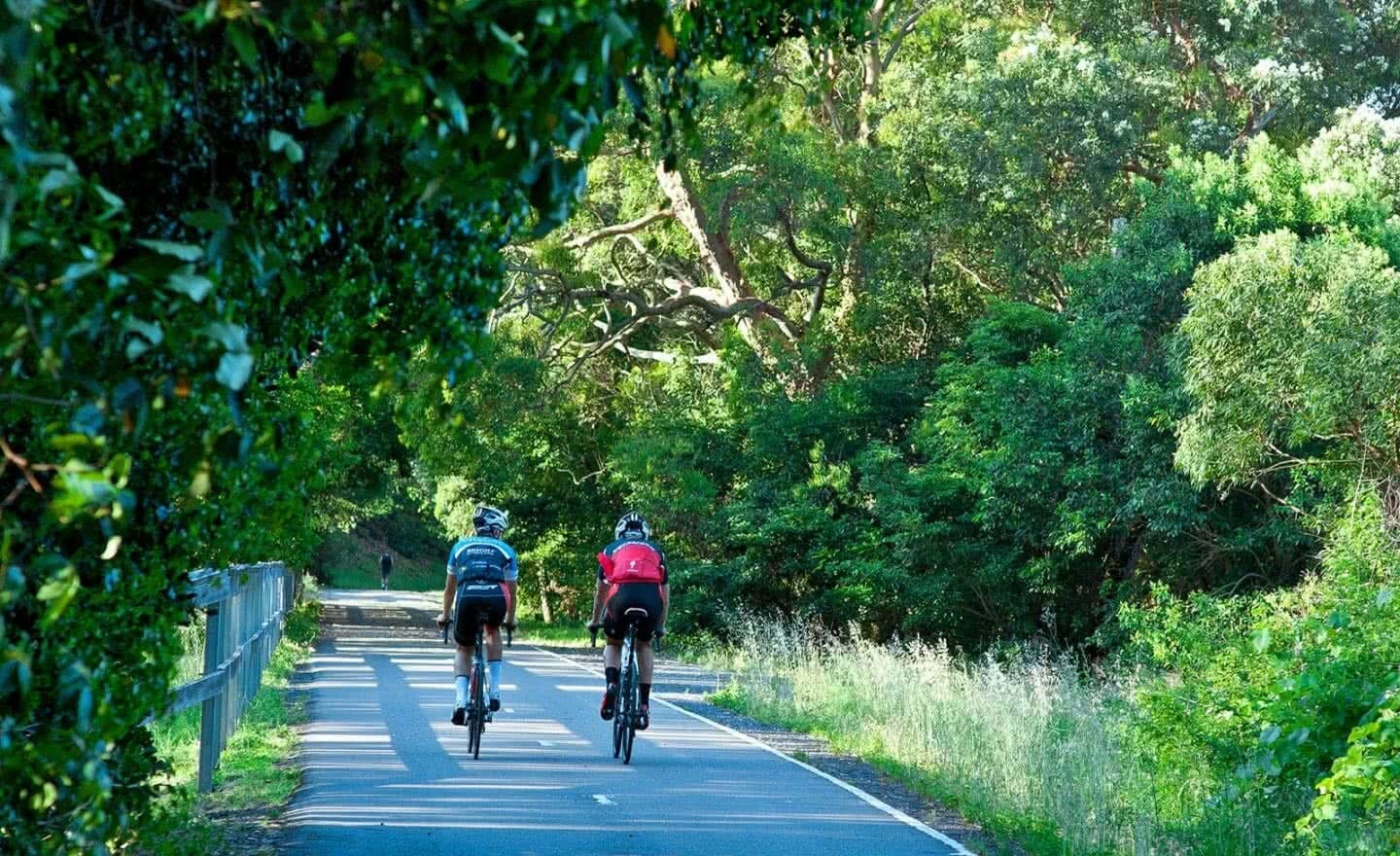 A road in Adamstown Heights with 2 people cycling