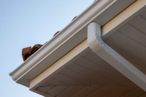 Who Cleans Gutters in a Rental Property