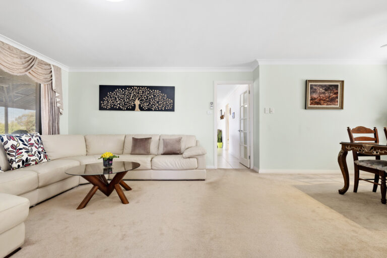 163461414918525345-rsd