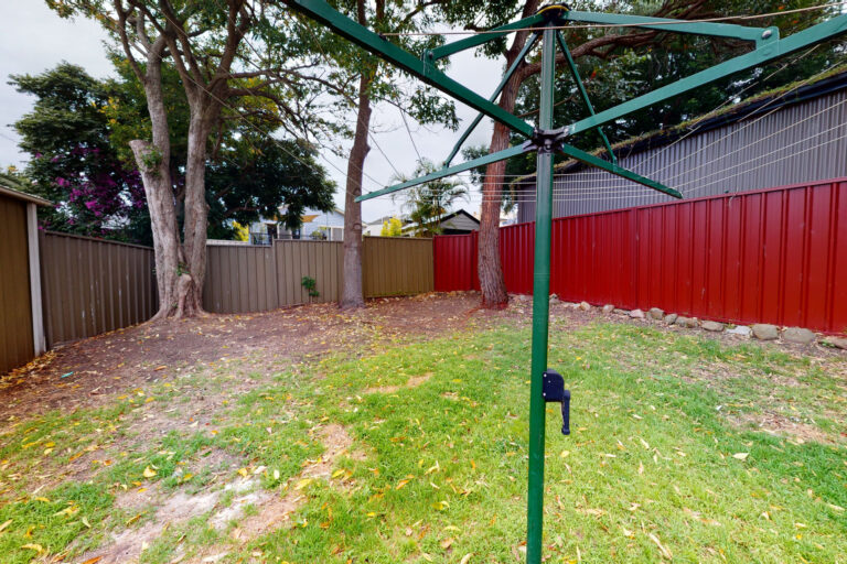 163763812187138784-rsd