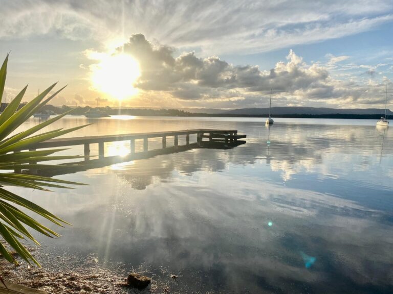 176229174403307924-rsd