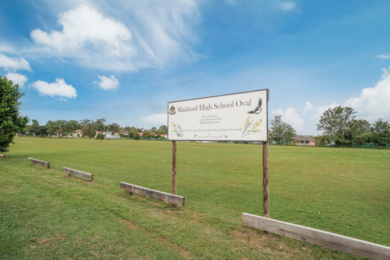 176239769182578912-rsd