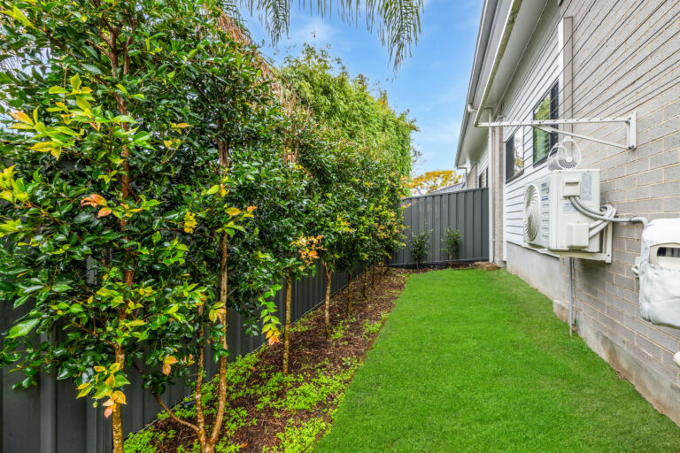 176248753384395280-rsd