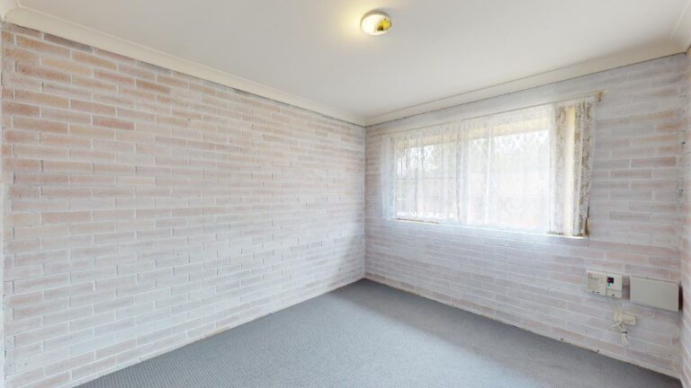 170373052424770533-rsd