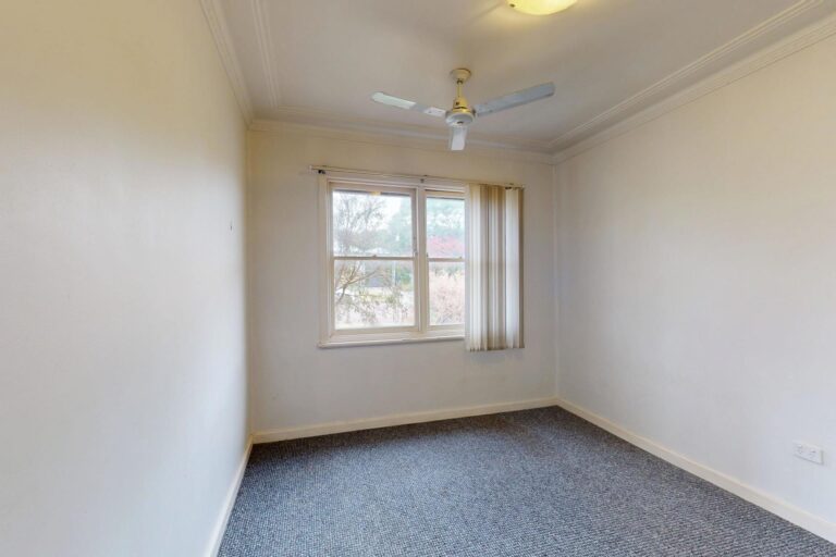 174097471253218932-rsd