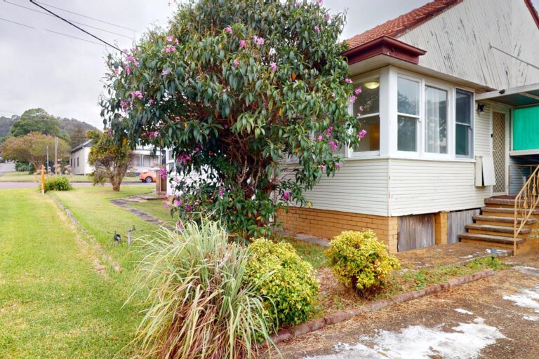 174097471259221384-rsd