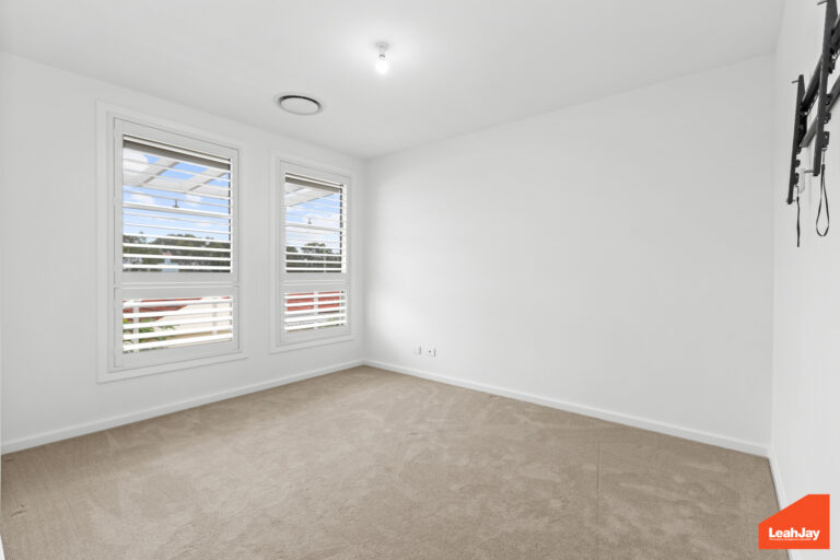 173933046779795684-rsd