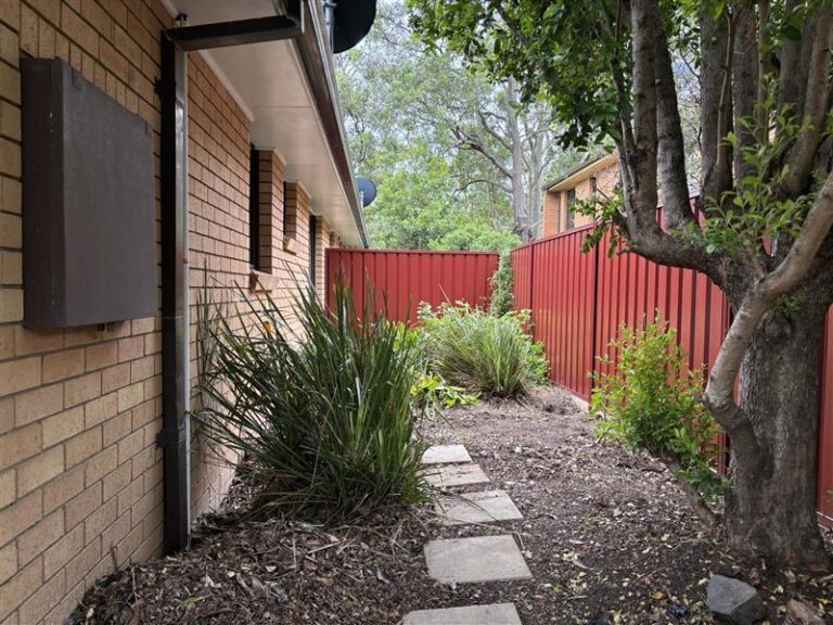 174218959645656541-rsd