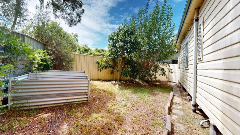 177249813039577504-rsd