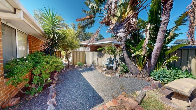 177300853595569170-rsd