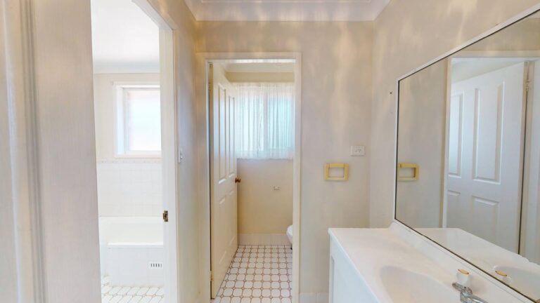 177300853646489817-rsd