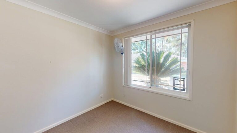 177300853701519216-rsd