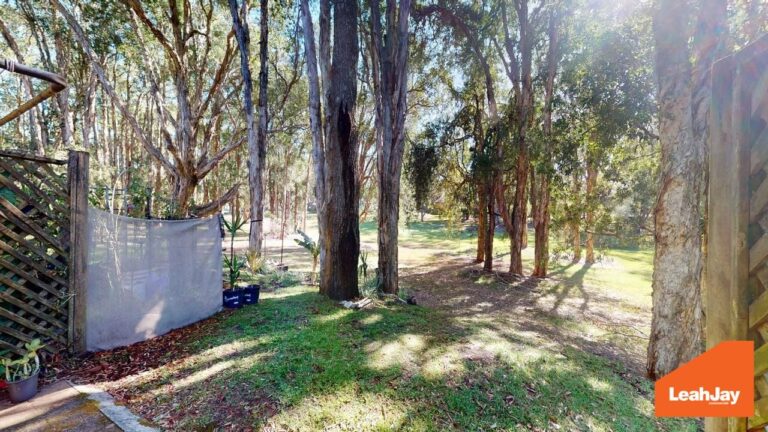 177441471830621405-rsd