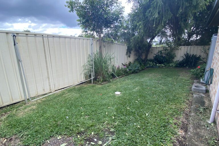 161766893084231421-rsd