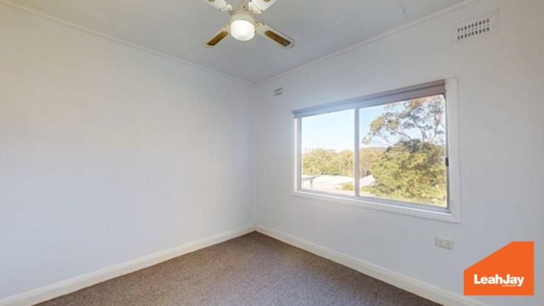 177502178930621405-rsd