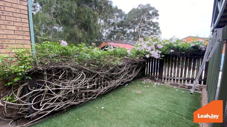 177699301915600554-rsd